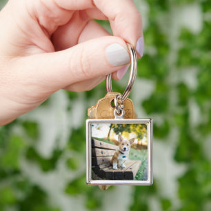 Cutest Baby Animals   Corgi Puppy on a Park Bench Key Ring