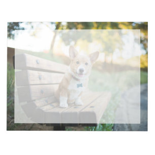 Cutest Baby Animals Corgi Puppy on a Park Bench Notepad