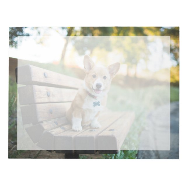 Cutest Baby Animals | Corgi Puppy on a Park Bench Notepad (Front)