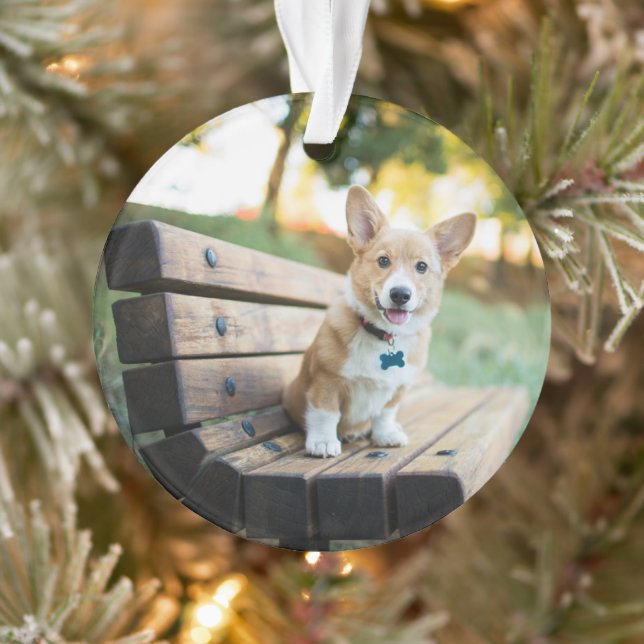 Cutest Baby Animals | Corgi Puppy on a Park Bench Ornament (Tree)