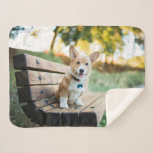 Cutest Baby Animals   Corgi Puppy on a Park Bench Sherpa Blanket