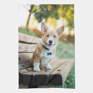 Cutest Baby Animals   Corgi Puppy on a Park Bench Tea Towel