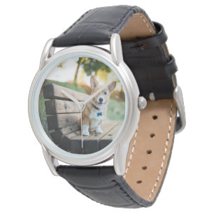 Cutest Baby Animals Corgi Puppy on a Park Bench Watch