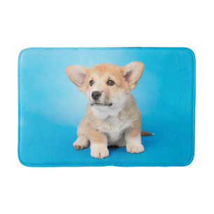 Cutest Baby Animals Corgi Puppy on Blue Bath Mat