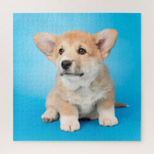 Cutest Baby Animals   Corgi Puppy on Blue Jigsaw Puzzle