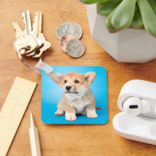 Cutest Baby Animals Corgi Puppy on Blue Key Ring