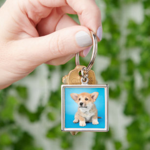 Cutest Baby Animals Corgi Puppy on Blue Key Ring