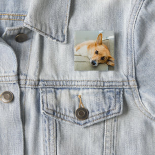 Cutest Baby Animals Corgi Puppy on Couch 15 Cm Square Badge