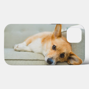 Cutest Baby Animals   Corgi Puppy on Couch iPhone 13 Case