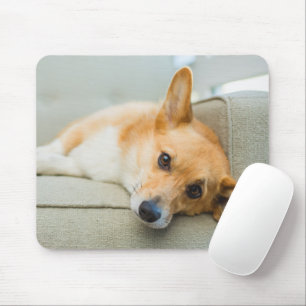 Cutest Baby Animals Corgi Puppy on Couch Mouse Pad
