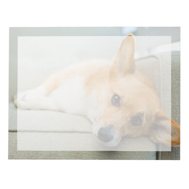 Cutest Baby Animals | Corgi Puppy on Couch Notepad (Front)