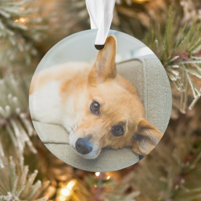 Cutest Baby Animals | Corgi Puppy on Couch Ornament (Tree)