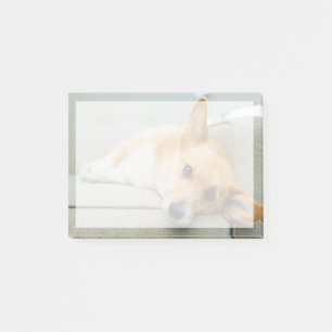 Cutest Baby Animals Corgi Puppy on Couch Post-it Notes