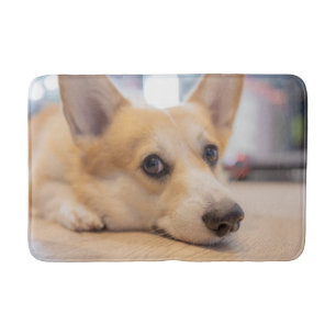 Cutest Baby Animals   Corgi Puppy on Floor Bath Mat