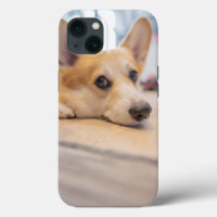 Cutest Baby Animals | Corgi Puppy on Floor