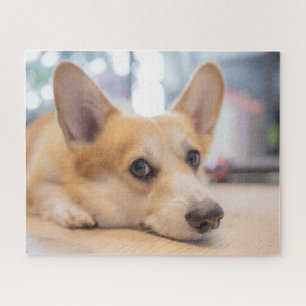 Cutest Baby Animals Corgi Puppy on Floor Jigsaw Puzzle