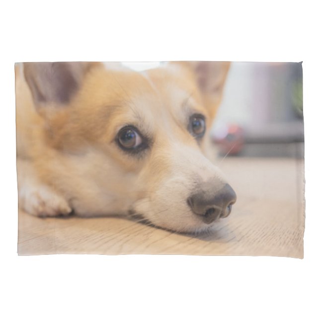 Cutest Baby Animals | Corgi Puppy on Floor Pillowcase (Front)
