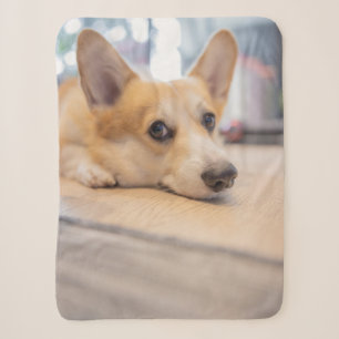 Cutest Baby Animals Corgi Puppy on Floor Sherpa Blanket