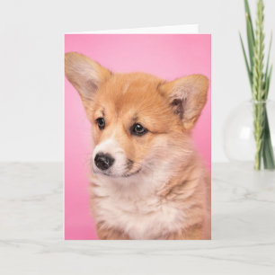 Cutest Baby Animals Corgi Puppy on Pink Card