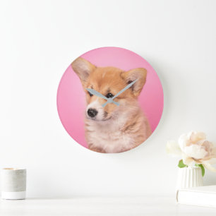 Cutest Baby Animals   Corgi Puppy on Pink Large Clock