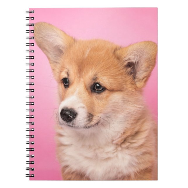 Cutest Baby Animals | Corgi Puppy on Pink Notebook (Front)