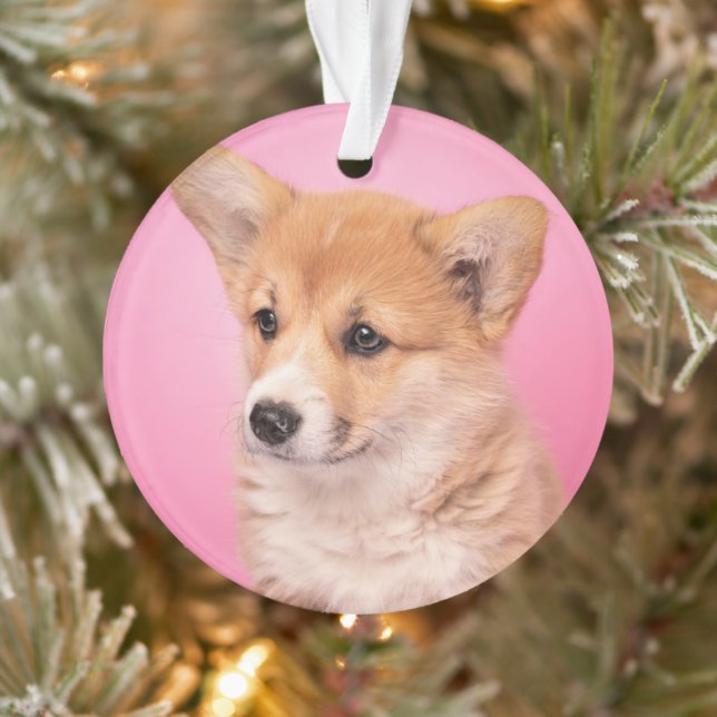Cutest Baby Animals | Corgi Puppy on Pink Ornament (Tree)