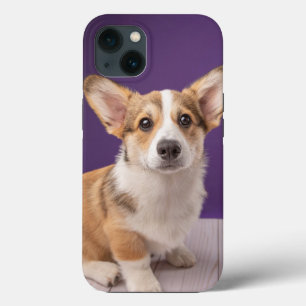 Cutest Baby Animals Corgi Puppy on Purple iPhone 13 Case