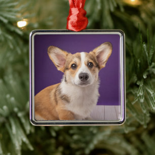 Cutest Baby Animals Corgi Puppy on Purple Metal Ornament