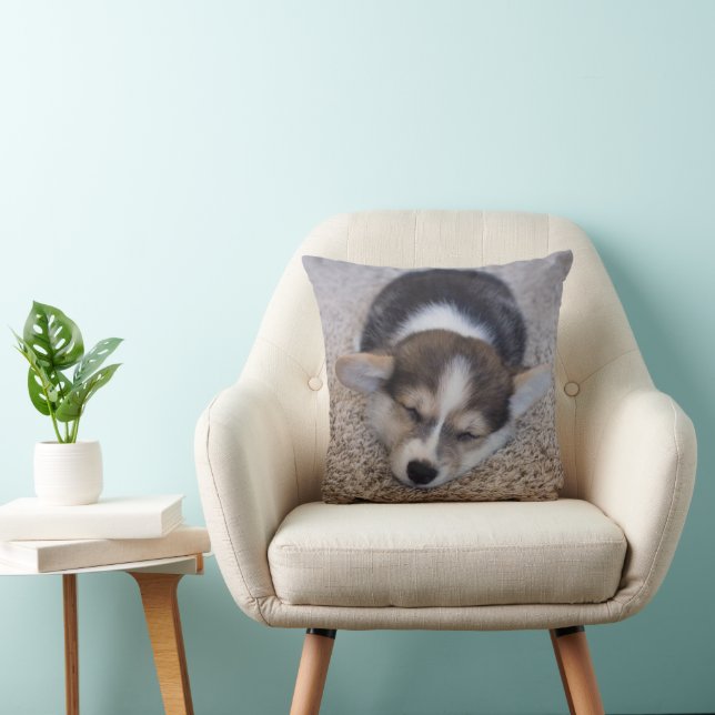 Cutest Baby Animals | Corgi Puppy on Shag Rug Cushion (Chair)