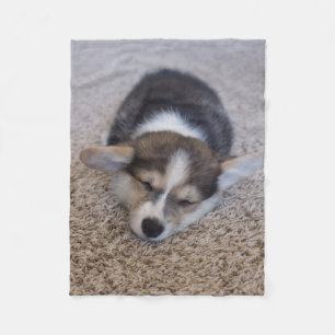 Cutest Baby Animals   Corgi Puppy on Shag Rug Fleece Blanket