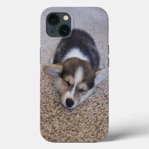 Cutest Baby Animals Corgi Puppy on Shag Rug iPhone 13 Case
