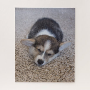 Cutest Baby Animals Corgi Puppy on Shag Rug Jigsaw Puzzle