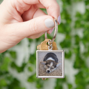 Cutest Baby Animals   Corgi Puppy on Shag Rug Key Ring