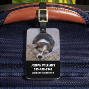 Cutest Baby Animals   Corgi Puppy on Shag Rug Luggage Tag