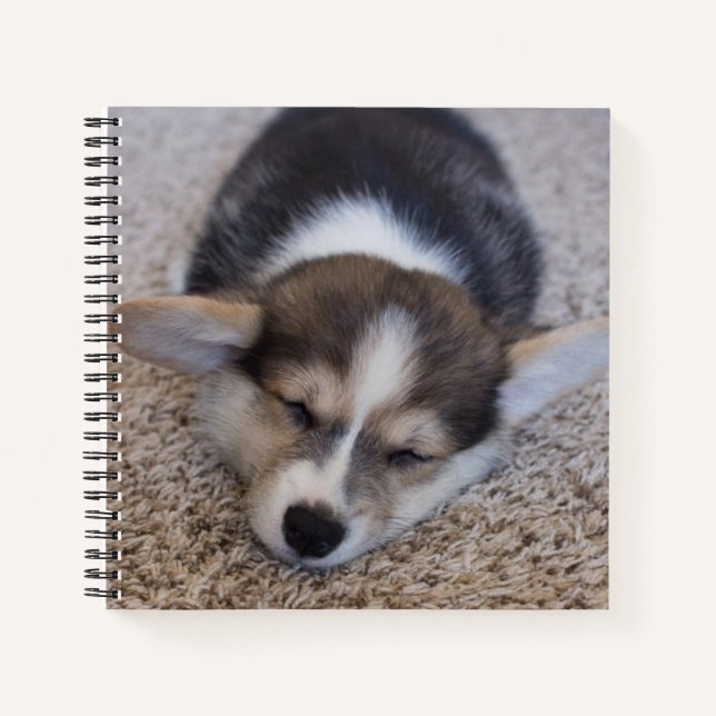 Cutest Baby Animals | Corgi Puppy on Shag Rug Notebook (Front)