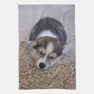 Cutest Baby Animals   Corgi Puppy on Shag Rug Tea Towel