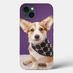 Cutest Baby Animals   Corgi Puppy Skull Bandana iPhone 13 Case