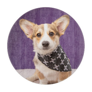 Cutest Baby Animals   Corgi Puppy Skull Bandana Cutting Board