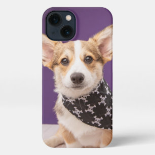 Cutest Baby Animals   Corgi Puppy Skull Bandana iPhone 13 Case
