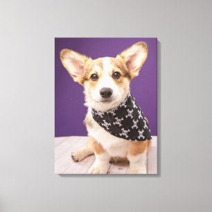 Cutest Baby Animals Corgi Puppy Skull Bandanna Canvas Print