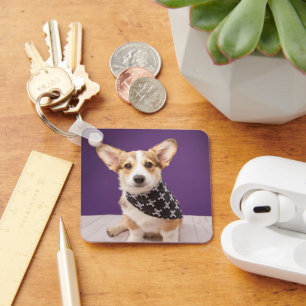 Cutest Baby Animals Corgi Puppy Skull Bandanna Key Ring