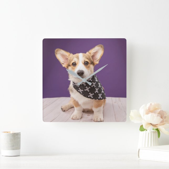 Cutest Baby Animals | Corgi Puppy Skull Bandanna Square Wall Clock (Home)