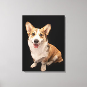 Cutest Baby Animals Corgi Puppy Smile Canvas Print