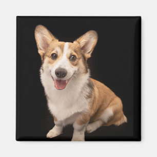 Cutest Baby Animals   Corgi Puppy Smile Magnet