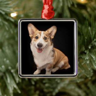 Cutest Baby Animals Corgi Puppy Smile Metal Ornament