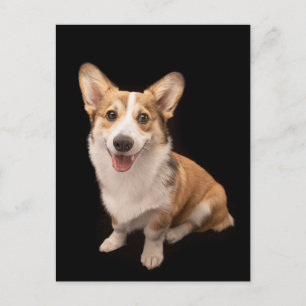 Cutest Baby Animals   Corgi Puppy Smile Postcard