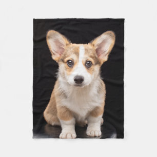 Cutest Baby Animals Corgi Puppy Standing Tall Fleece Blanket