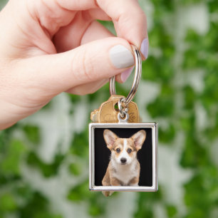 Cutest Baby Animals   Corgi Puppy Standing Tall Key Ring