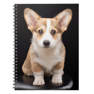 Cutest Baby Animals   Corgi Puppy Standing Tall Notebook