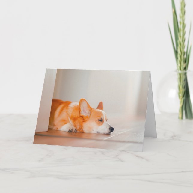 Cutest Baby Animals | Corgi Sleeping Card (Front)